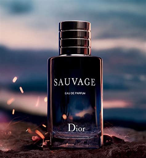 dior sauvage 100 ml - eau de parfum - herenparfum|Dior Sauvage 100 ml price.